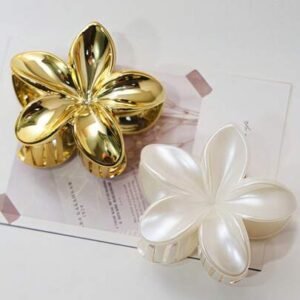 Women Hair Accessories